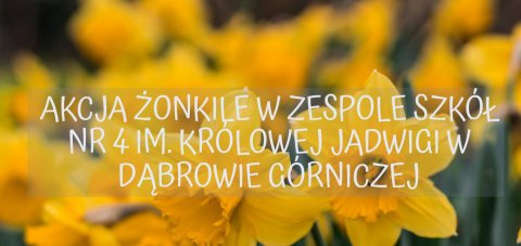 zonkile2